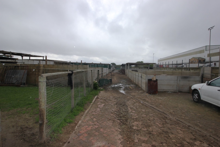  Bedroom Property for Sale in Philippi Western Cape